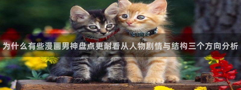 漫画岛热门漫画大全