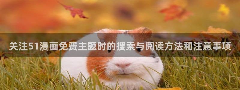 漫画岛网页地址