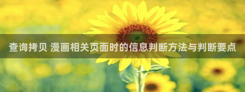 漫画岛入口导航页
