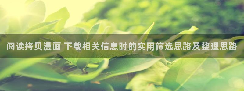 漫画岛新作推荐:阅读拷贝漫画 下载相关信息时的实用筛选思路及整理思路
