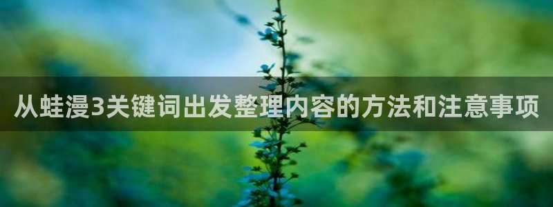 漫画岛网页