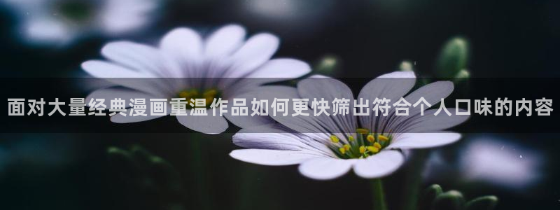 漫画岛网页最新地址
